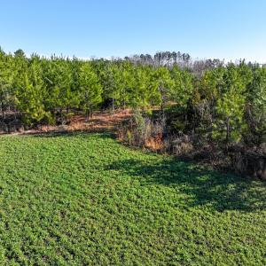 Photo #23 of Off Of Waqua Creek Rd, Rawlings, VA 12.7 acres