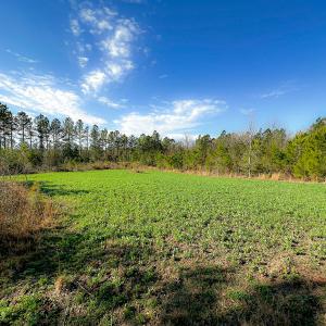 Photo #24 of Off Of Waqua Creek Rd, Rawlings, VA 12.7 acres