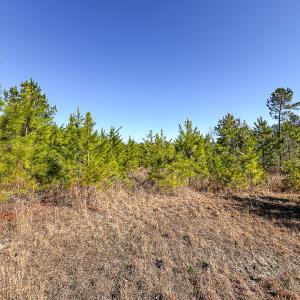 Photo #29 of Off Of Waqua Creek Rd, Rawlings, VA 12.7 acres