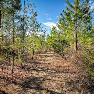 Photo #30 of Off Of Waqua Creek Rd, Rawlings, VA 12.7 acres