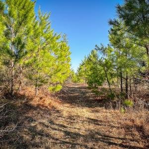 Photo #31 of Off Of Waqua Creek Rd, Rawlings, VA 12.7 acres