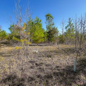 Photo #34 of Off Of Waqua Creek Rd, Rawlings, VA 12.7 acres