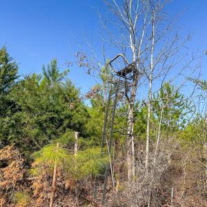 Photo #35 of Off Of Waqua Creek Rd, Rawlings, VA 12.7 acres