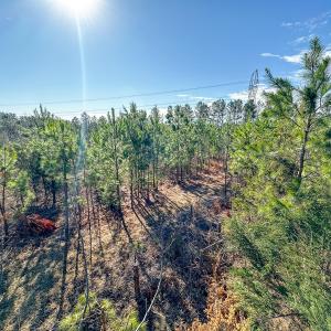 Photo #36 of Off Of Waqua Creek Rd, Rawlings, VA 12.7 acres