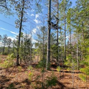 Photo #37 of Off Of Waqua Creek Rd, Rawlings, VA 12.7 acres