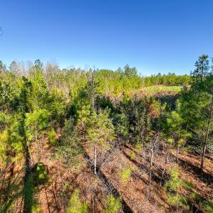 Photo #38 of Off Of Waqua Creek Rd, Rawlings, VA 12.7 acres