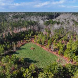 Photo #4 of Off Of Waqua Creek Rd, Rawlings, VA 12.7 acres