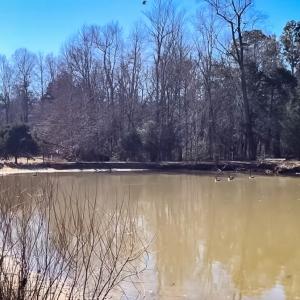 Photo #2 of 271 Palomino Trl, Lexington, NC 9.9 acres