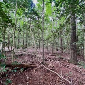 Photo #7 of off of Chestnut Dr, Bracey, VA 0.5 acres