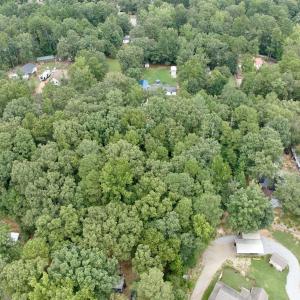 Photo #26 of off of Chestnut Dr, Bracey, VA 0.5 acres