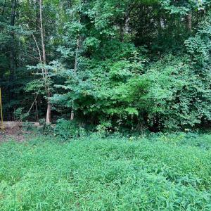 Photo #29 of off of Chestnut Dr, Bracey, VA 0.5 acres