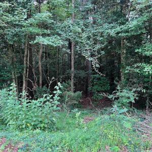 Photo #31 of off of Chestnut Dr, Bracey, VA 0.5 acres