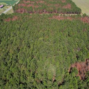 Photo #10 of Off Old Stake Road, Clarendon, NC 26.8 acres