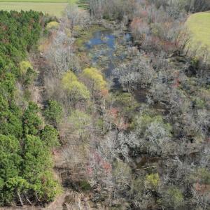 Photo #11 of Off Old Stake Road, Clarendon, NC 26.8 acres