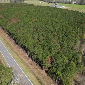 Photo #1 of Off Old Stake Road, Clarendon, NC 26.8 acres