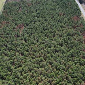 Photo #2 of Off Old Stake Road, Clarendon, NC 26.8 acres