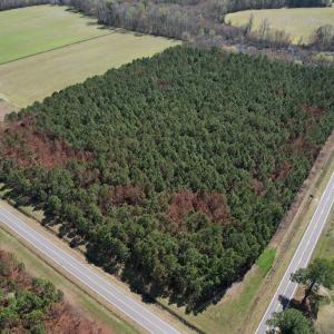 Photo #3 of Off Old Stake Road, Clarendon, NC 26.8 acres