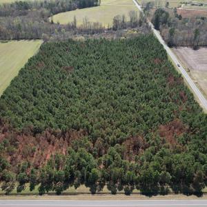 Photo #4 of Off Old Stake Road, Clarendon, NC 26.8 acres