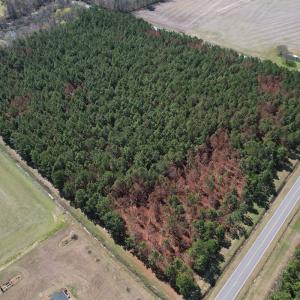 Photo #5 of Off Old Stake Road, Clarendon, NC 26.8 acres