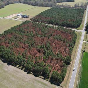 Photo #6 of Off Old Stake Road, Clarendon, NC 26.8 acres