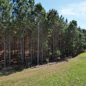 Photo #20 of Off Old Stake Road, Clarendon, NC 26.8 acres