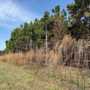 Photo #35 of Off Old Stake Road, Clarendon, NC 26.8 acres