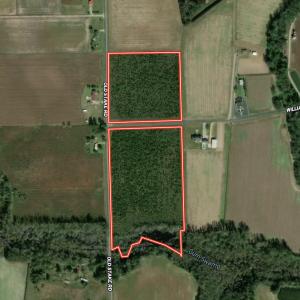Photo #38 of Off Old Stake Road, Clarendon, NC 26.8 acres
