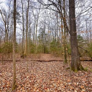 Photo #12 of Off of Sparks Terrace, Quinton, VA 116.3 acres