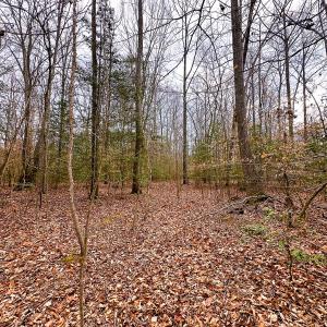 Photo #13 of Off of Sparks Terrace, Quinton, VA 116.3 acres