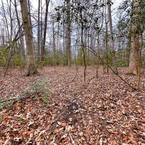 Photo #17 of Off of Sparks Terrace, Quinton, VA 116.3 acres