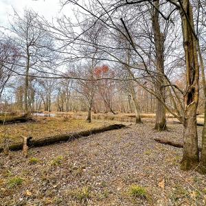 Photo #18 of Off of Sparks Terrace, Quinton, VA 116.3 acres