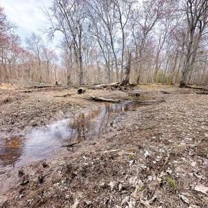 Photo #19 of Off of Sparks Terrace, Quinton, VA 116.3 acres