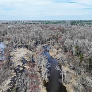 Photo #1 of Off of Sparks Terrace, Quinton, VA 116.3 acres