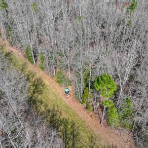 Photo #21 of Off of Sparks Terrace, Quinton, VA 116.3 acres