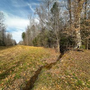 Photo #23 of Off of Sparks Terrace, Quinton, VA 116.3 acres