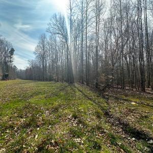 Photo #24 of Off of Sparks Terrace, Quinton, VA 116.3 acres
