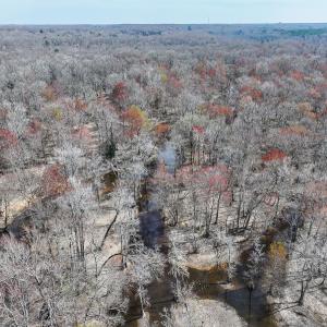 Photo #33 of Off of Sparks Terrace, Quinton, VA 116.3 acres