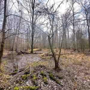 Photo #35 of Off of Sparks Terrace, Quinton, VA 116.3 acres