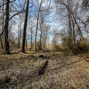 Photo #36 of Off of Sparks Terrace, Quinton, VA 116.3 acres