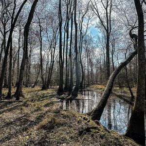 Photo #37 of Off of Sparks Terrace, Quinton, VA 116.3 acres