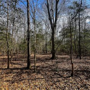 Photo #38 of Off of Sparks Terrace, Quinton, VA 116.3 acres