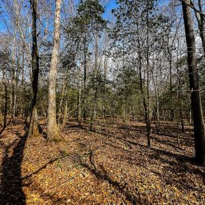 Photo #39 of Off of Sparks Terrace, Quinton, VA 116.3 acres