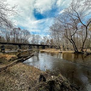 Photo #4 of Off of Sparks Terrace, Quinton, VA 116.3 acres