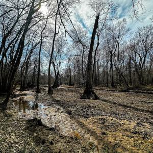 Photo #40 of Off of Sparks Terrace, Quinton, VA 116.3 acres