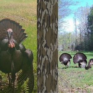 Photo #42 of Off of Sparks Terrace, Quinton, VA 116.3 acres