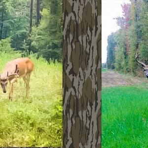 Photo #43 of Off of Sparks Terrace, Quinton, VA 116.3 acres