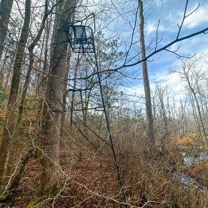 Photo #46 of Off of Sparks Terrace, Quinton, VA 116.3 acres