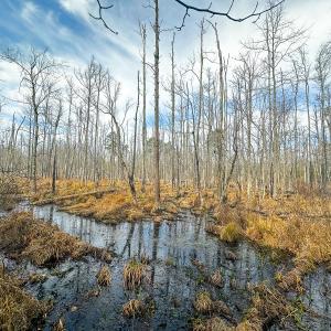 Photo #47 of Off of Sparks Terrace, Quinton, VA 116.3 acres