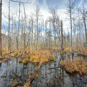 Photo #48 of Off of Sparks Terrace, Quinton, VA 116.3 acres