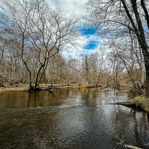 Photo #50 of Off of Sparks Terrace, Quinton, VA 116.3 acres